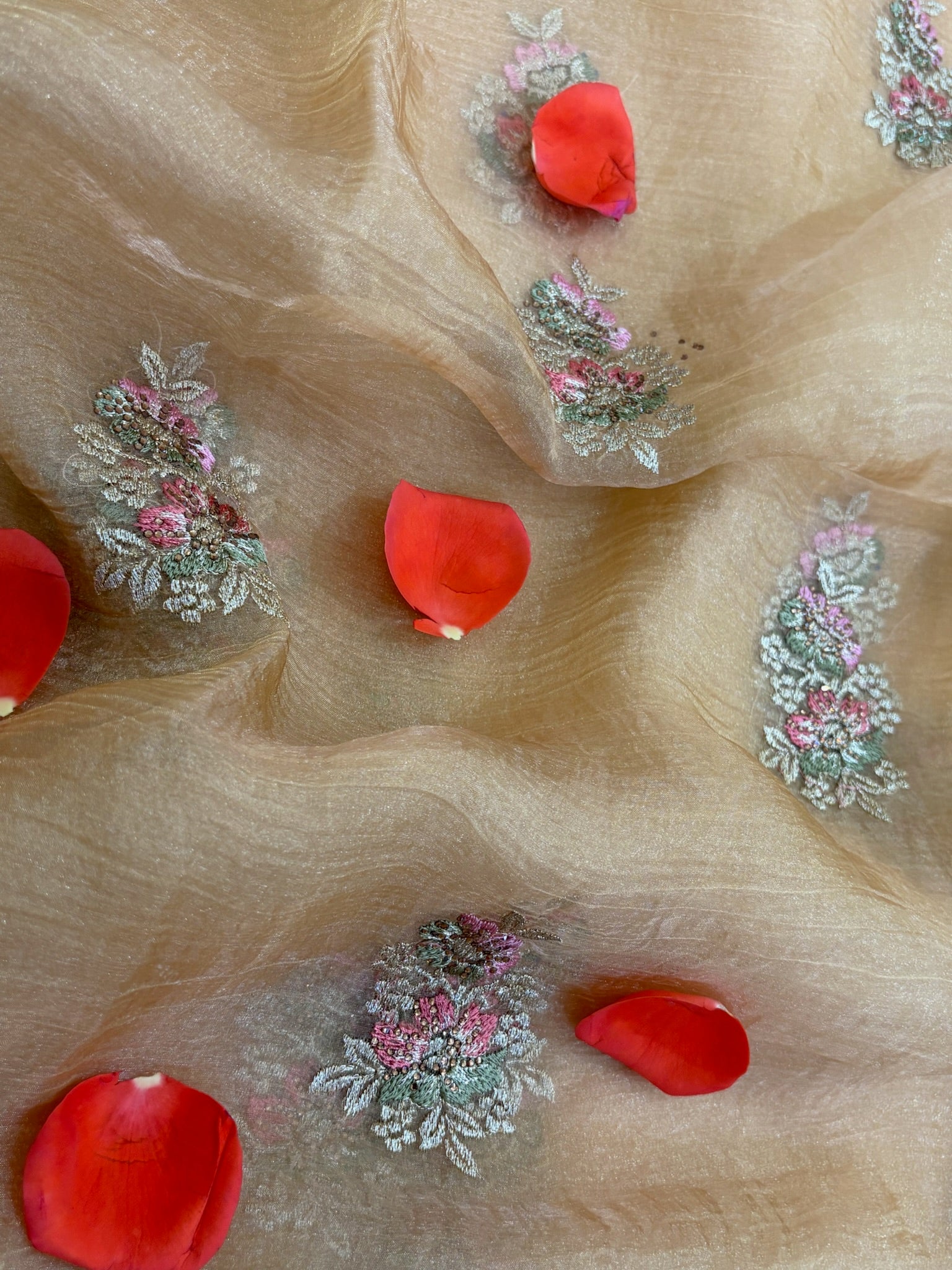 Khaki Tissue Saree for Women with Floral Embroidery