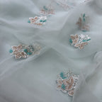 Ajmera Jari Patta Saree